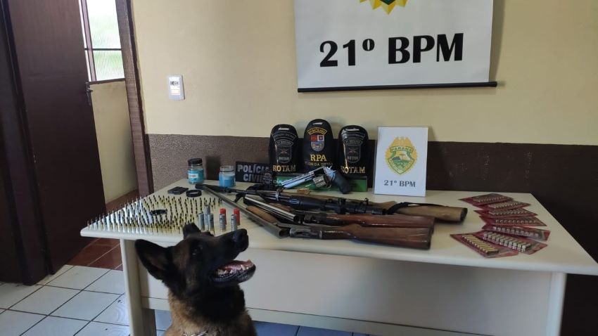 Polícia Civil